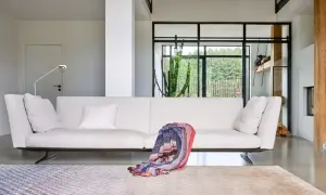 Divano bianco moderno, un plaid colorato appoggiato sopra, tappeti geometrici e un grande cactus dietro la vetrata. Design Jan Kath.