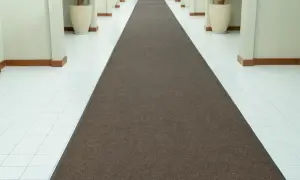 Un lungo tappeto marrone, una vera e propria passatoia, guida verso l'infinito in un corridoio luminoso con colonne e piante.