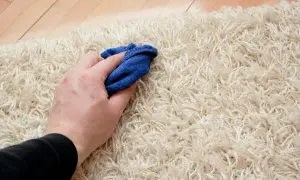 Mano che pulisce un tappeto chiaro con un panno blu, un metodo semplice per un detersivo per tappeti fai da te.