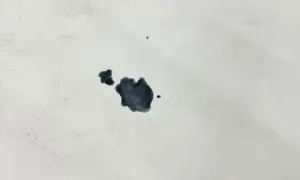 Macchie scure su tessuto bianco, un esempio di come togliere la muffa dalla pelle.