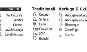 Simbolo centrifuga lavatrice, con opzioni per cicli rapidi, tradizionali e asciugatura.