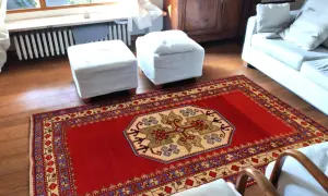 Un tappeto rosso con motivi geometrici, che evoca l'autenticità dei tappeti rustici, adorna il pavimento in legno di un soggiorno accogliente.