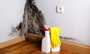 Angolo di una stanza con estesa muffa nera sul muro. Accanto, prodotti per la pulizia della muffa e guanti gialli.
