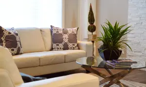 Divano in pelle bianco, con cuscini decorativi. Un tavolino di vetro con piante e libri, ideale per chi cerca come pulire divano pelle bianco ingiallito.