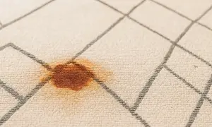 Macchie di ruggine su un tappeto beige con motivo a rombi grigi.