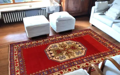 Un tappeto rosso con motivi geometrici, che evoca l'autenticità dei tappeti rustici, adorna il pavimento in legno di un soggiorno accogliente.