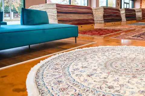 Un elegante tappeto Hamadan, con motivi floreali blu e rossi su fondo crema, adorna il pavimento di un negozio di tappeti.