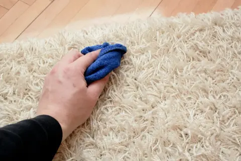 Mano che pulisce un tappeto chiaro con un panno blu, un metodo semplice per un detersivo per tappeti fai da te.