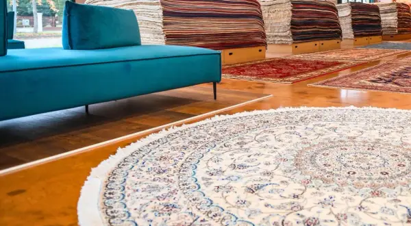 Un elegante tappeto Hamadan, con motivi floreali blu e rossi su fondo crema, adorna il pavimento di un negozio di tappeti.
