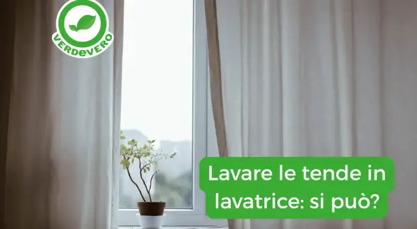 Tende chiare drappeggiate accanto a una finestra con una pianta in vaso. Il testo sovrapposto chiede: "Lavare le tende in lavatrice: si può?".