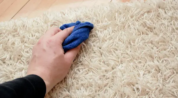 Mano che pulisce un tappeto chiaro con un panno blu, un metodo semplice per un detersivo per tappeti fai da te.