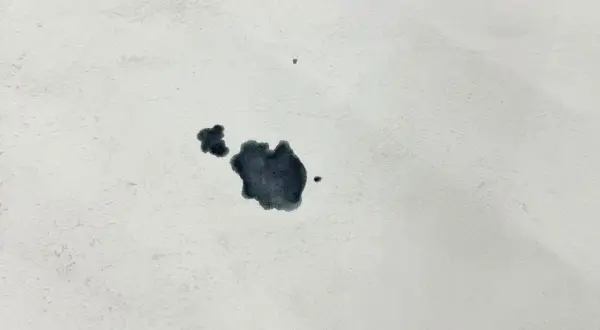 Macchie scure su tessuto bianco, un esempio di come togliere la muffa dalla pelle.