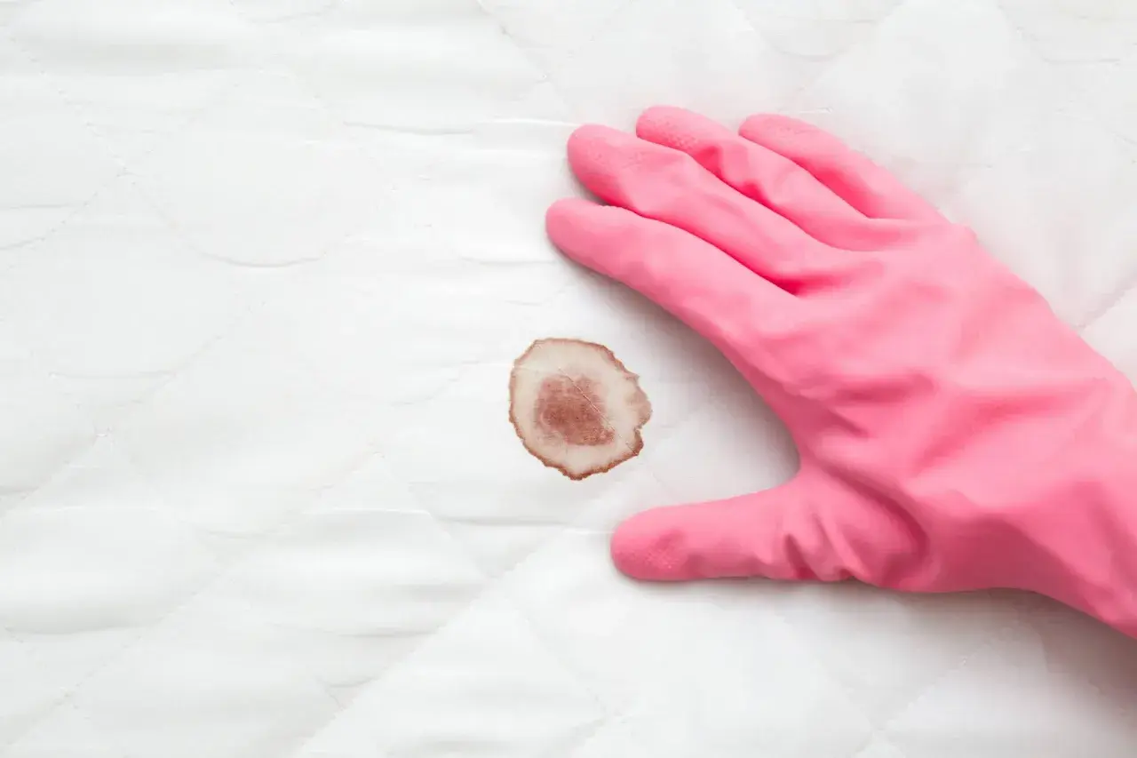 Mano con guanto rosa pronto a pulire macchie di sangue su tessuto bianco trapuntato.