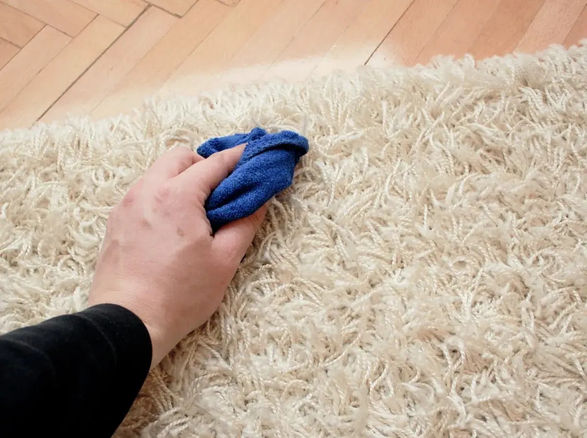 Mano che pulisce un tappeto chiaro con un panno blu, un metodo semplice per un detersivo per tappeti fai da te.