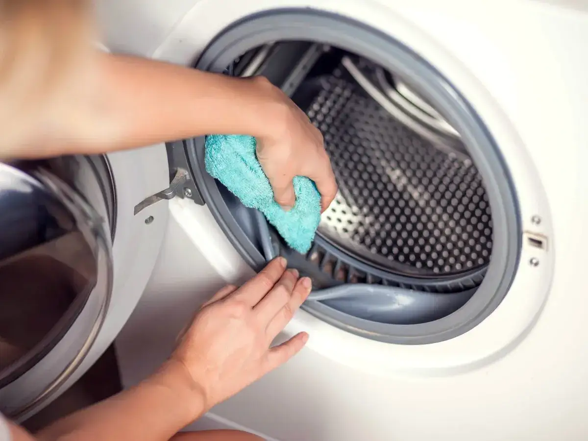 Mani puliscono la guarnizione della lavatrice con un panno azzurro. Un gesto semplice per capire come disinfettare la lavatrice e mantenerla igienica.