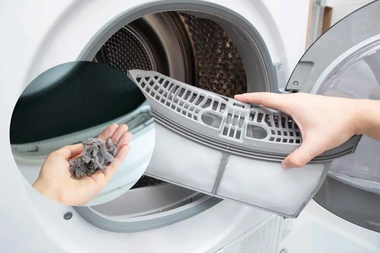 Mano estrae il filtro della lanugine da un'asciugatrice. La lanugine raccolta dimostra come l'asciugatrice disinfetta i panni, rimuovendo particelle e allergeni.