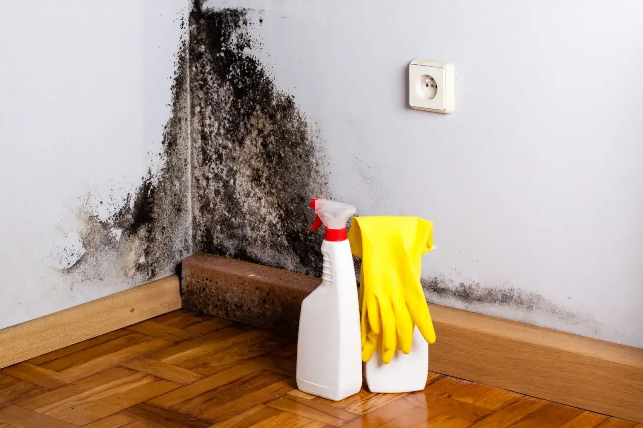 Angolo di una stanza con muffa nera sul muro. Prodotti per la pulizia e guanti gialli pronti per rimuovere la muffa dalla pelle.