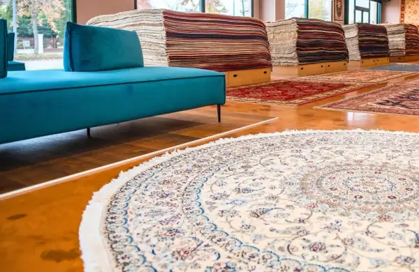 Un elegante tappeto Hamadan, con motivi floreali blu e rossi su fondo crema, adorna il pavimento di un negozio di tappeti.