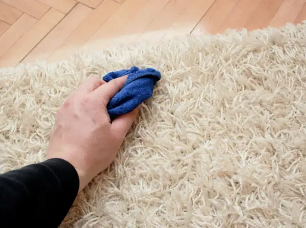 Mano che pulisce un tappeto chiaro con un panno blu, un metodo semplice per un detersivo per tappeti fai da te.
