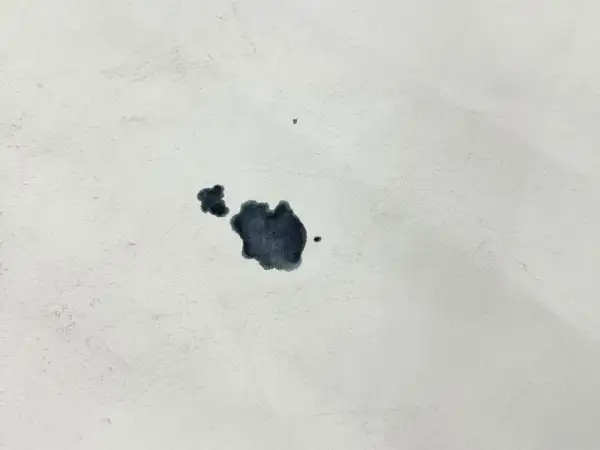 Macchie scure su tessuto bianco, un esempio di come togliere la muffa dalla pelle.